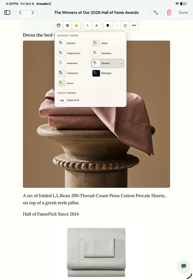 The reading-theme picker in the AreaderZ app on an iPad: nine theme thumbnails with their names, and a saved theme, over the article.